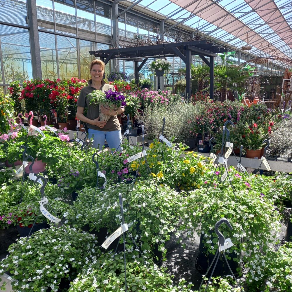 kijkje-achter-de-schermen-1