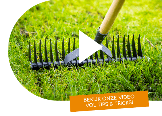lentekriebels-vol-tip-and-tricks-img