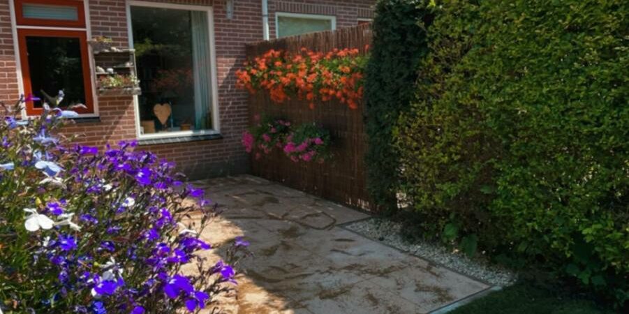 papenveer-featured-image