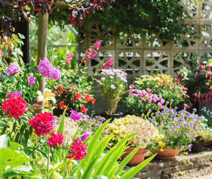 bloemen in achtertuin in Hoogwoud