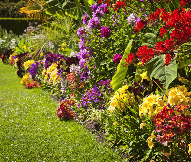 Bloemen middenmeer