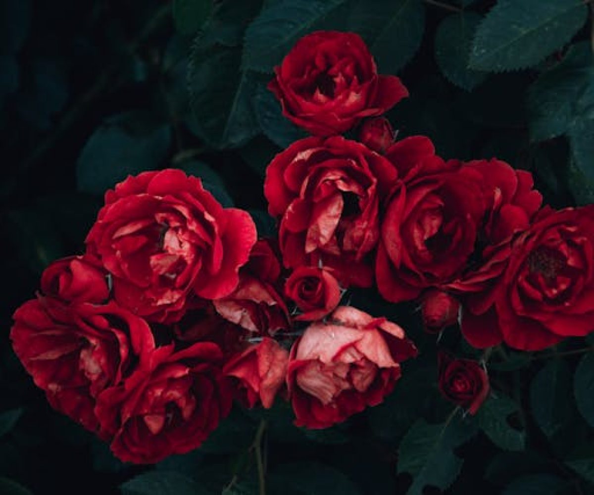 bloemen